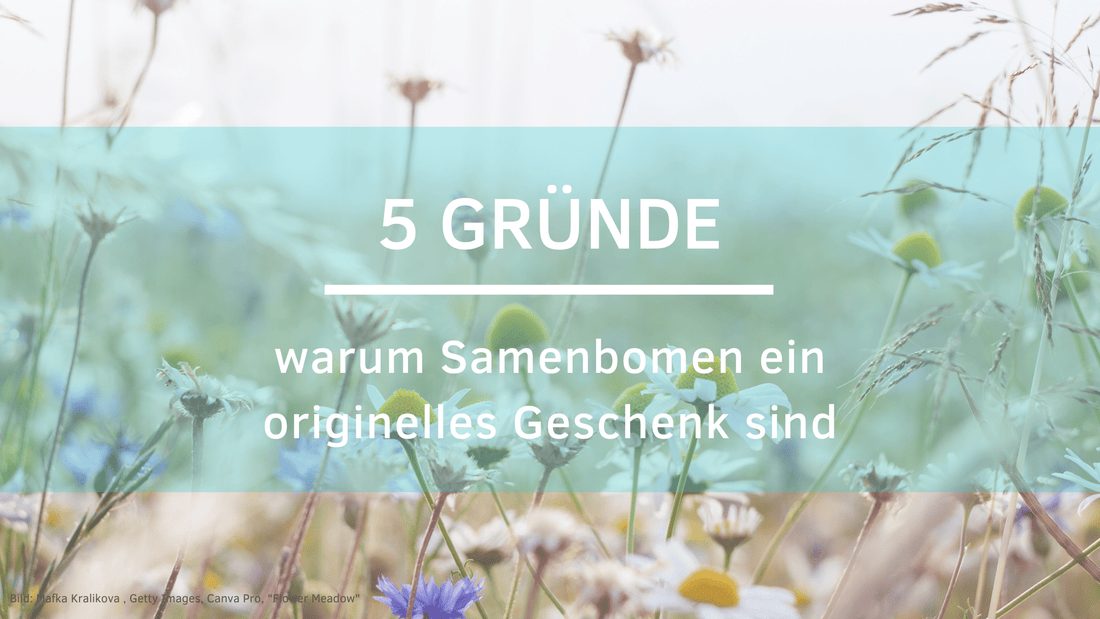 originelles Geschenk
