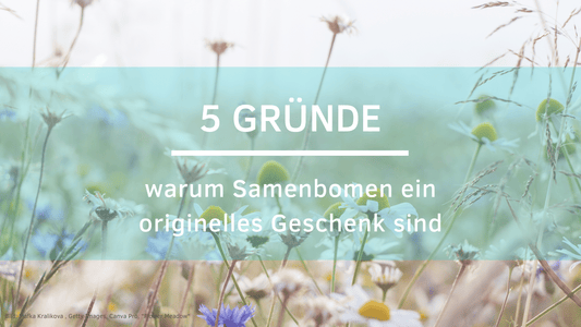 originelles Geschenk