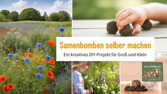 Samenbomben selber machen: Ein kreatives DIY-Projekt für Groß und Klein