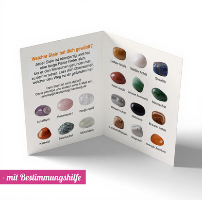 Magischer Begleiter_Bestimmungshilfe_Ideenverlag-Hamburg