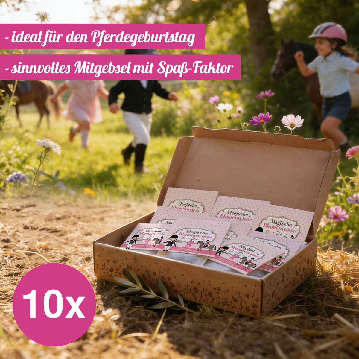 10x "Pferde" Samenbomben