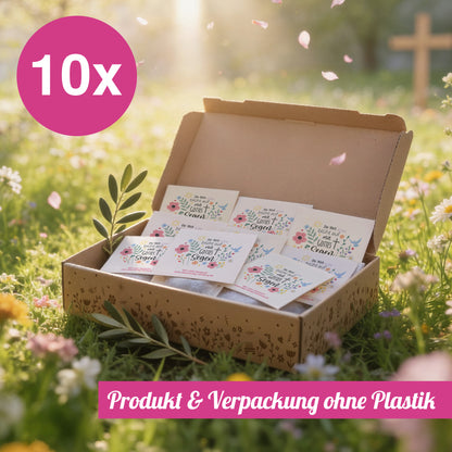 10x "Blühsegen" Samenbomben