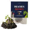 Drache-Ritter_Samenbombe_Keimling_Ideenverlag-Hamburg