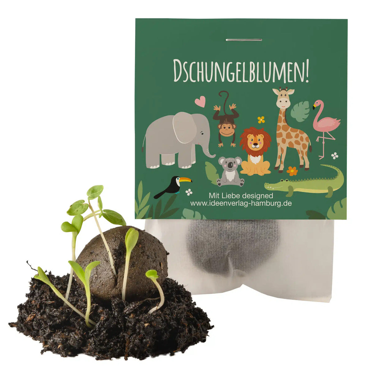 Dschungel-Zoo_Samenbombe_Keimling_Ideenverlag-Hamburg