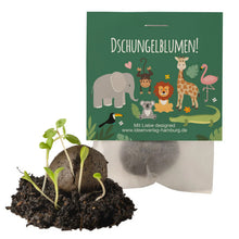 Dschungel-Zoo_Samenbombe_Keimling_Ideenverlag-Hamburg