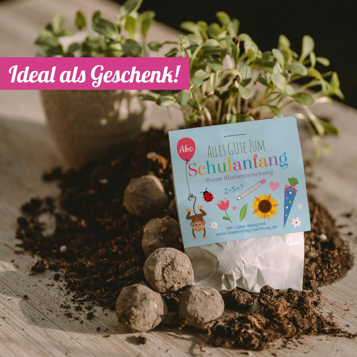 Einschulung_Samenbombe_Mood-Pflanzen_Ideal-als-Geschenk_Ideenverlag-Hamburg