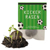 Fussball_Samenbombe_Keimling_Ideenverlag-Hamburg