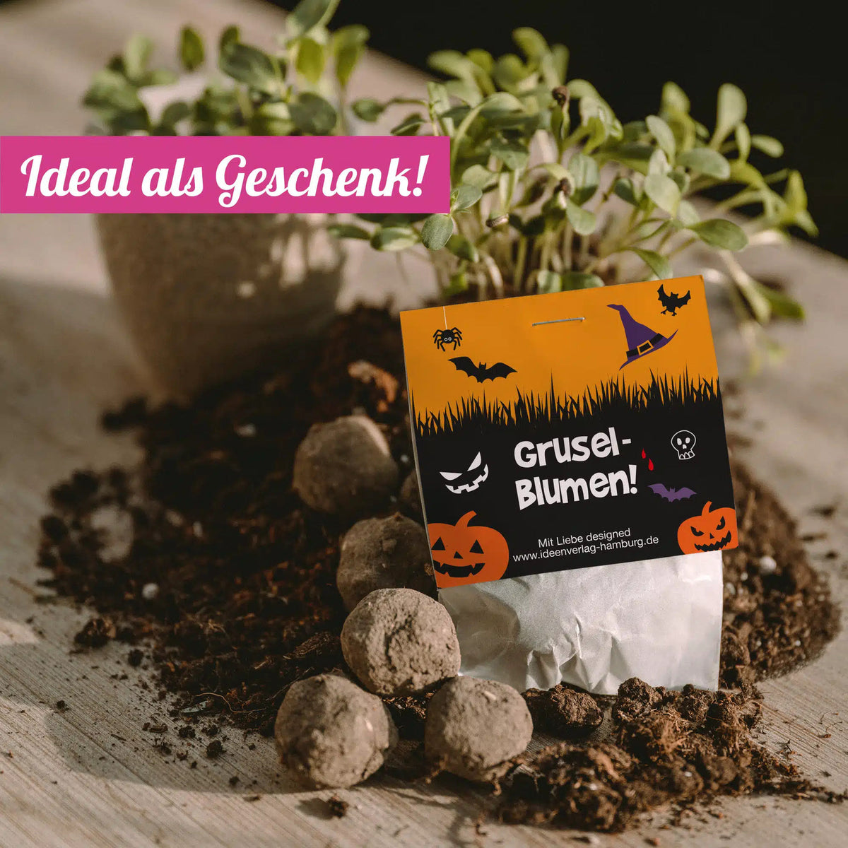 Halloween_Samenbombe_Mood-Pflanzen_Ideal-als-Geschenk_Ideenverlag-Hamburg