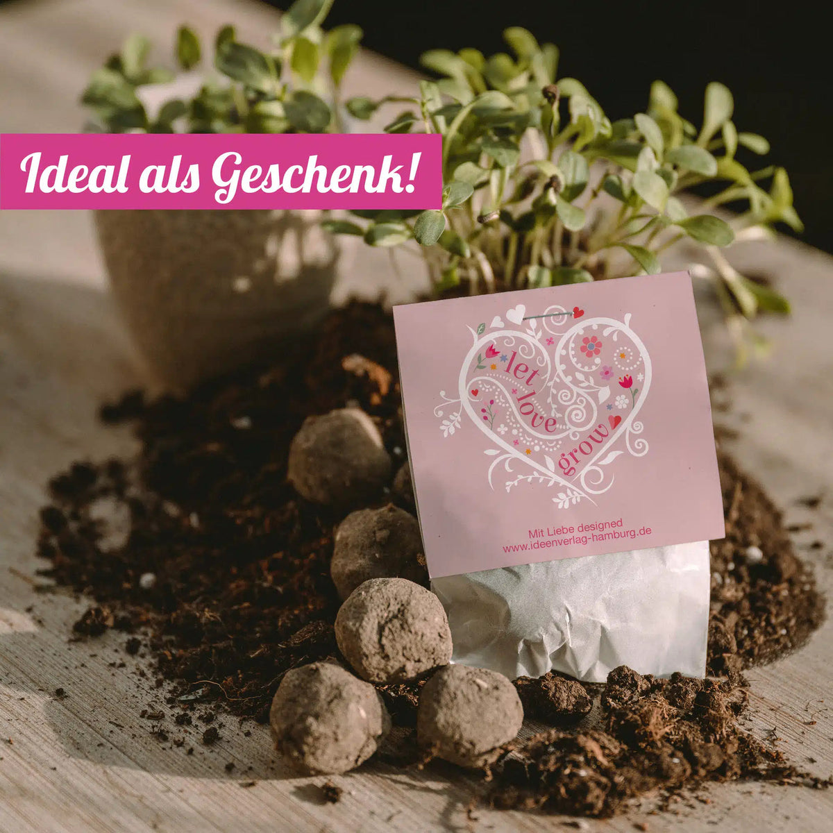 LetLoveGrow_Samenbombe_Mood-Pflanzen_Ideal-als-Geschenk_Ideenverlag-Hamburg