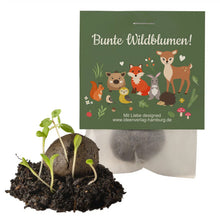 Waldtiere_Samenbombe_Keimling_Ideenverlag-Hamburg