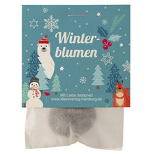 Winterblumen_Samenbombe_einzeln_Ideenverlag-Hamburg