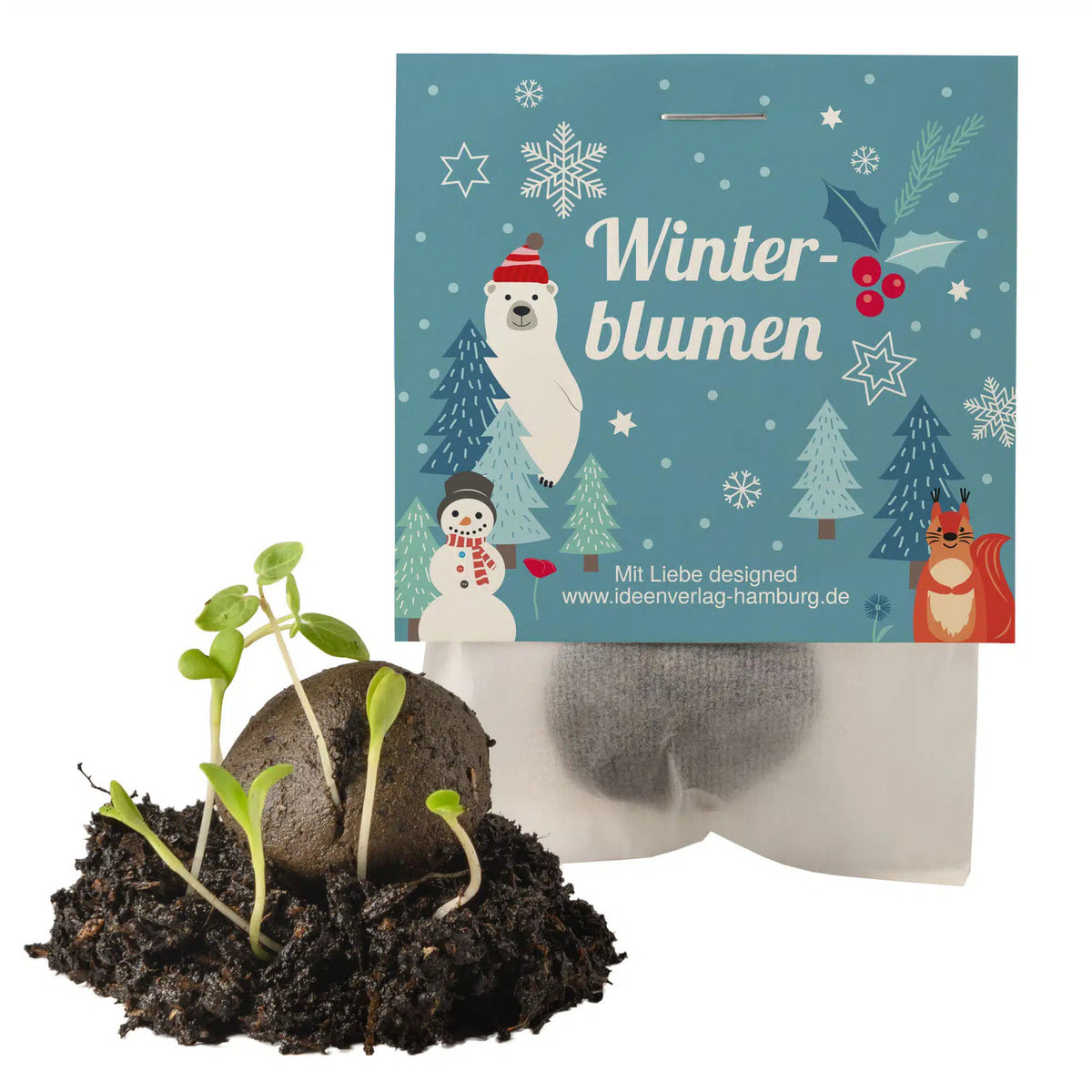 Winterblumen_Samenbombe_Keimling_Ideenverlag-Hamburg