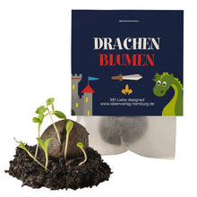 Drache-Ritter_Samenbombe_Keimling_Ideenverlag-Hamburg