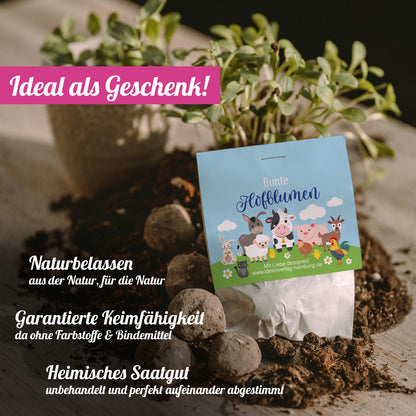 Bauernhof_Samenbombe_Mood-Pflanzen_Ideal-als-Geschenk_Ideenverlag-Hamburg
