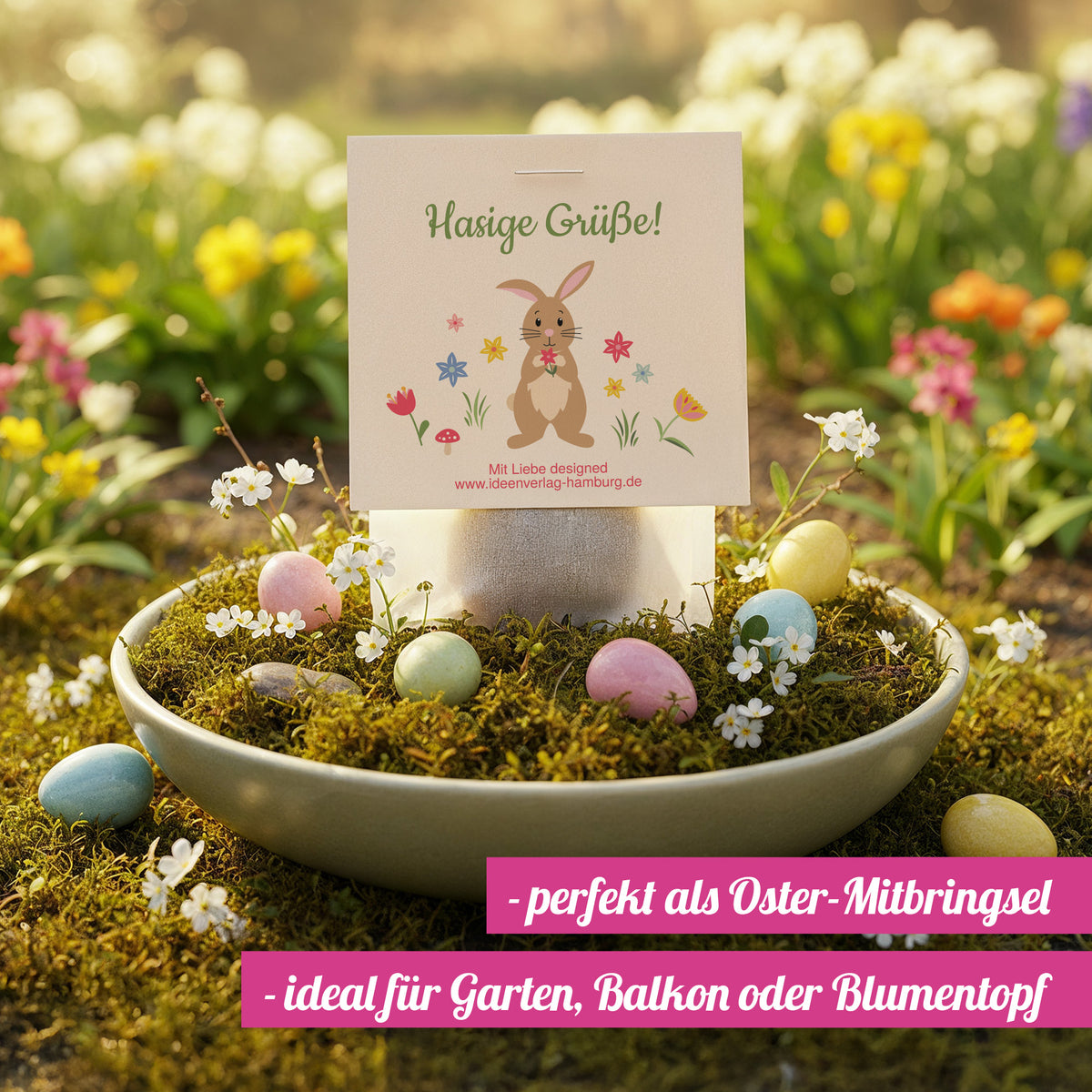 10x "Hasige Grüße" Samenbomben