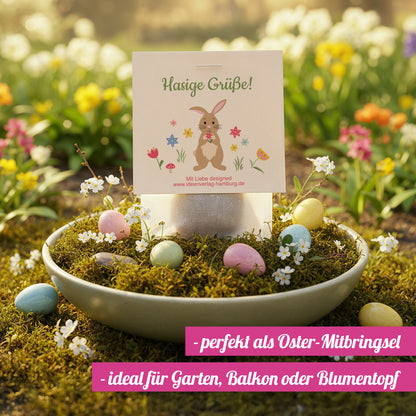 10x "Hasige Grüße" Samenbomben