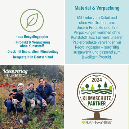 10x "Blumenwiesen" Samenbomben