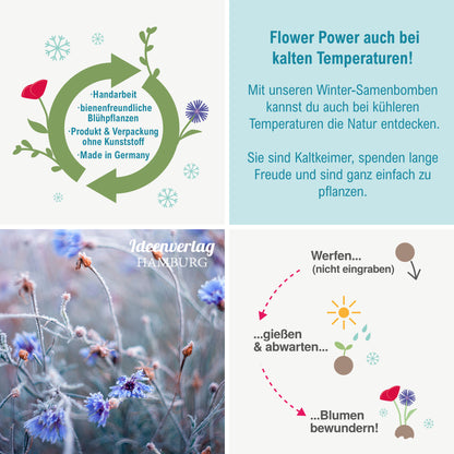 1x "Tannenbaum" Winter-Samenbombe