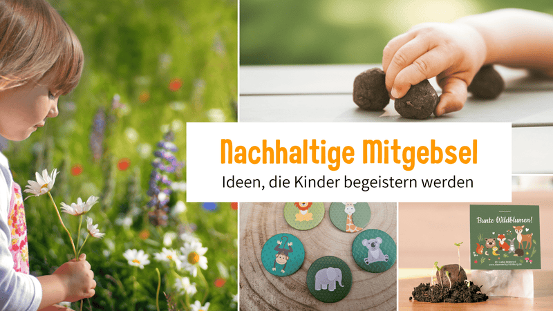 Test: Ratgeber-Baukasten