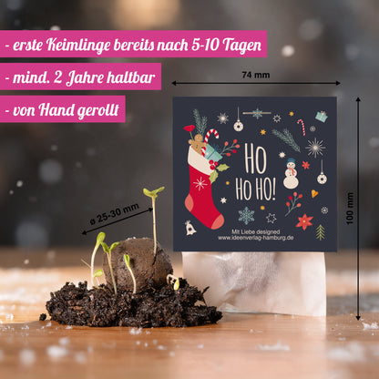 1x "Ho Ho Ho" Winter-Samenbombe