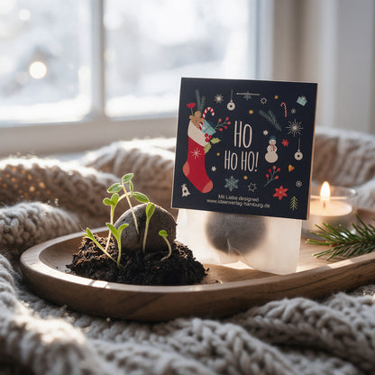 1x "Ho Ho Ho" Winter-Samenbombe