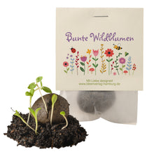 10x "Blumenwiesen" Samenbomben