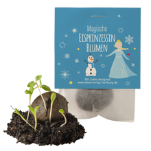 10x "Eisprinzessin" Winter-Samenbomben