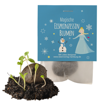 10x "Eisprinzessin" Winter-Samenbomben
