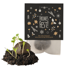 10x "Frohes Fest" Winter-Samenbomben
