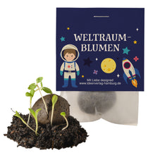 10x "Weltraum" Samenbomben