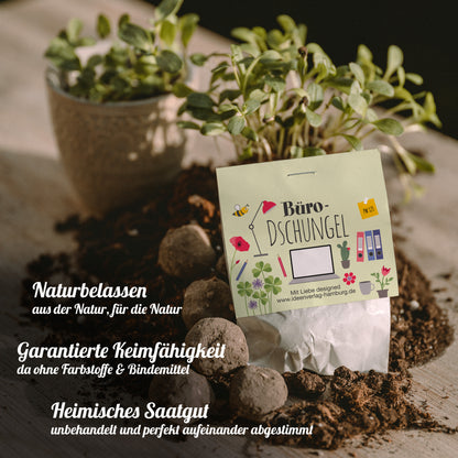 10x "Büro-Dschungel" Samenbomben