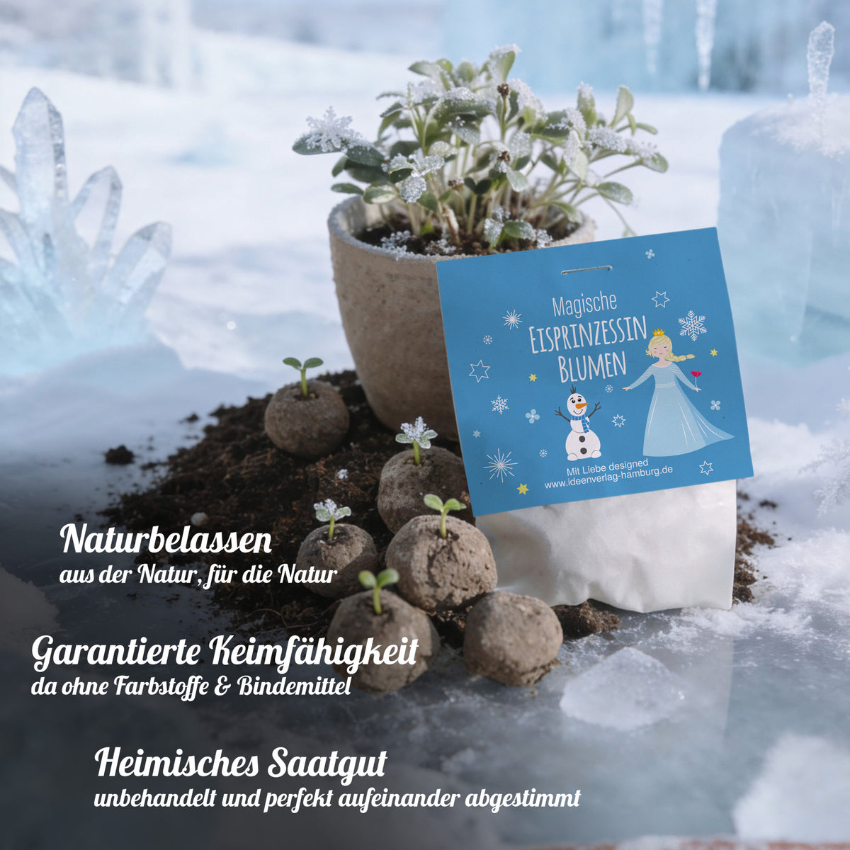 10x "Eisprinzessin" Winter-Samenbomben