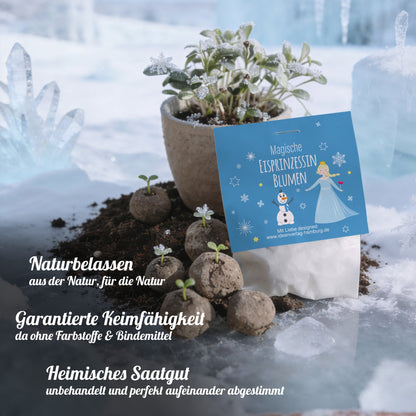 10x "Eisprinzessin" Winter-Samenbomben