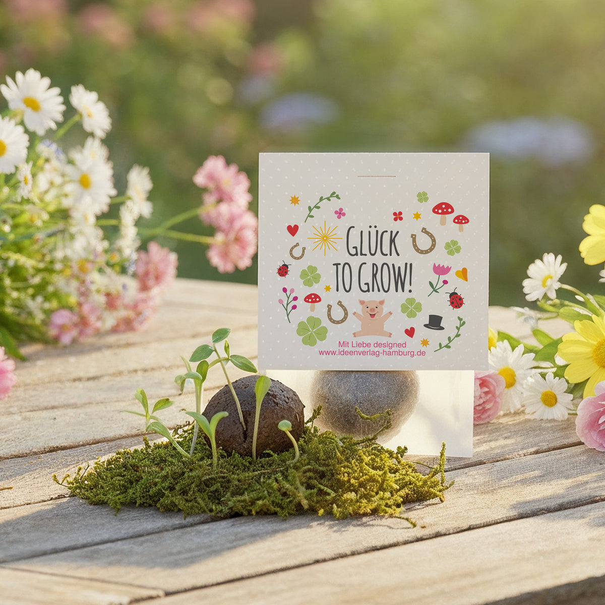 10x "Glück to grow" Samenbomben