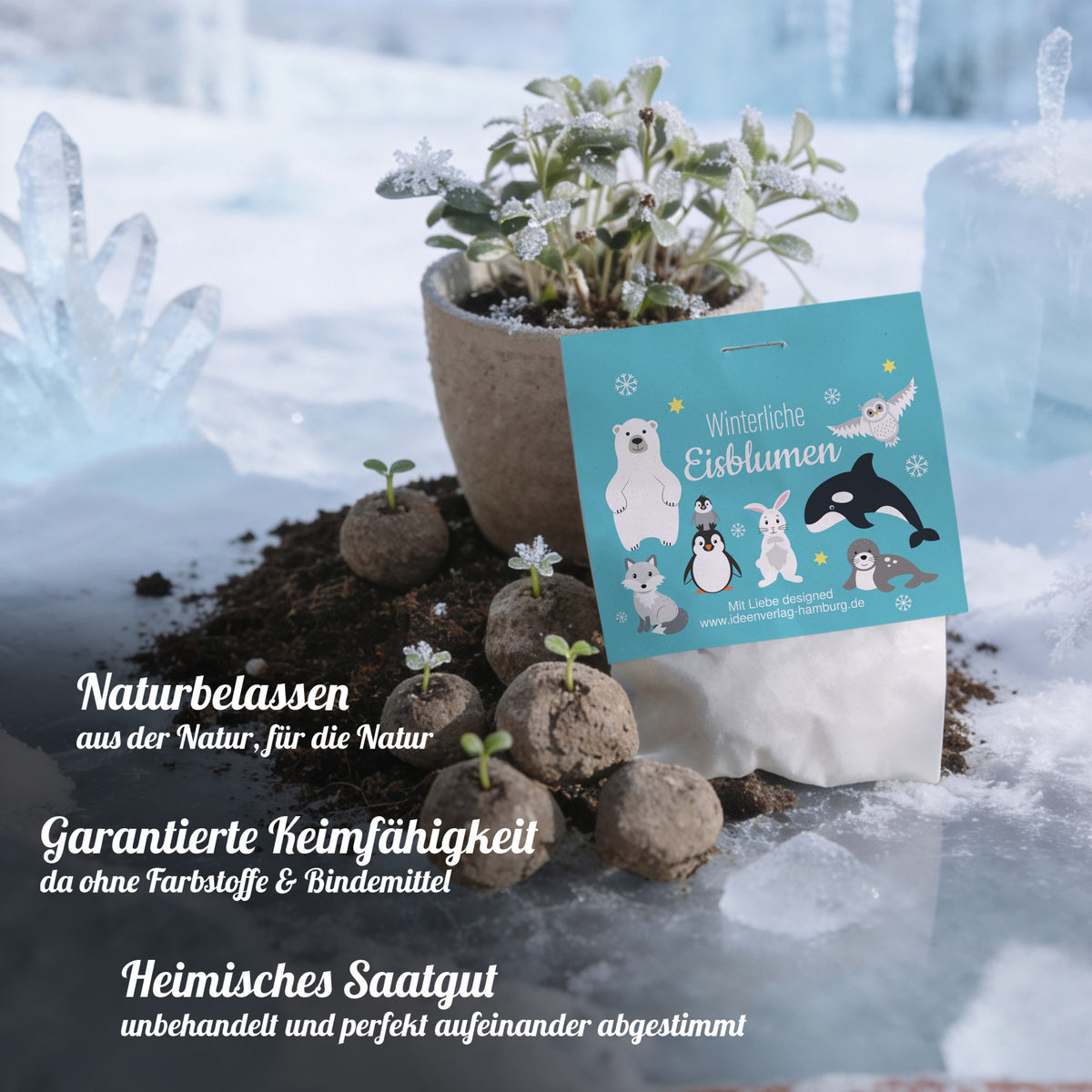10 "Polartiere" Winter-Samenbomben