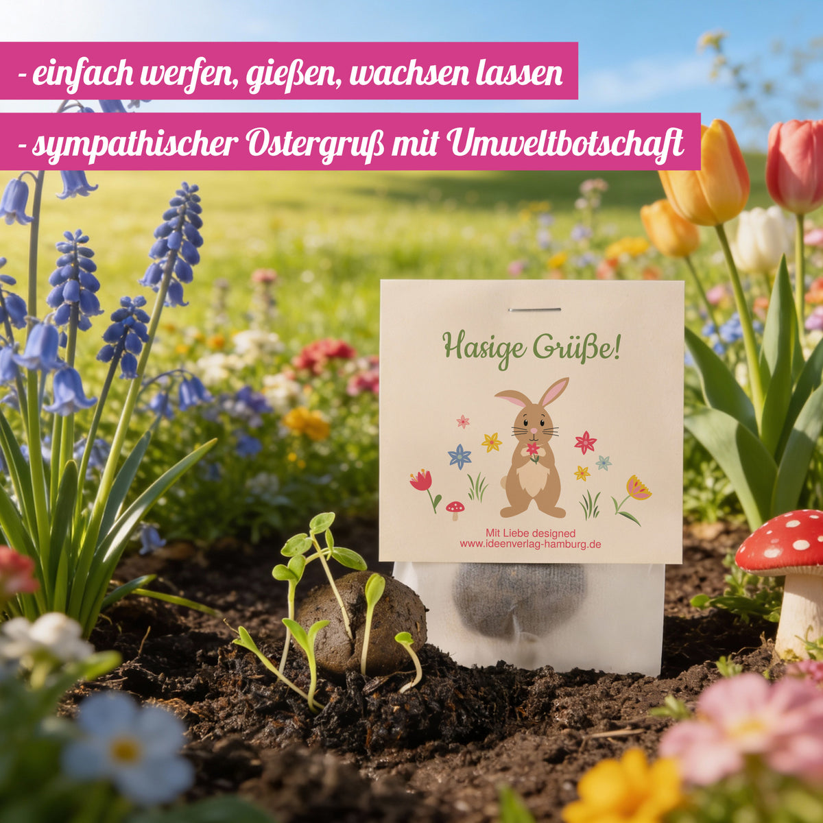 10x "Hasige Grüße" Samenbomben