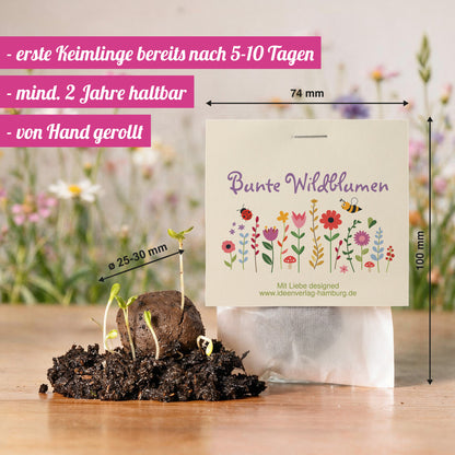 10x "Blumenwiesen" Samenbomben