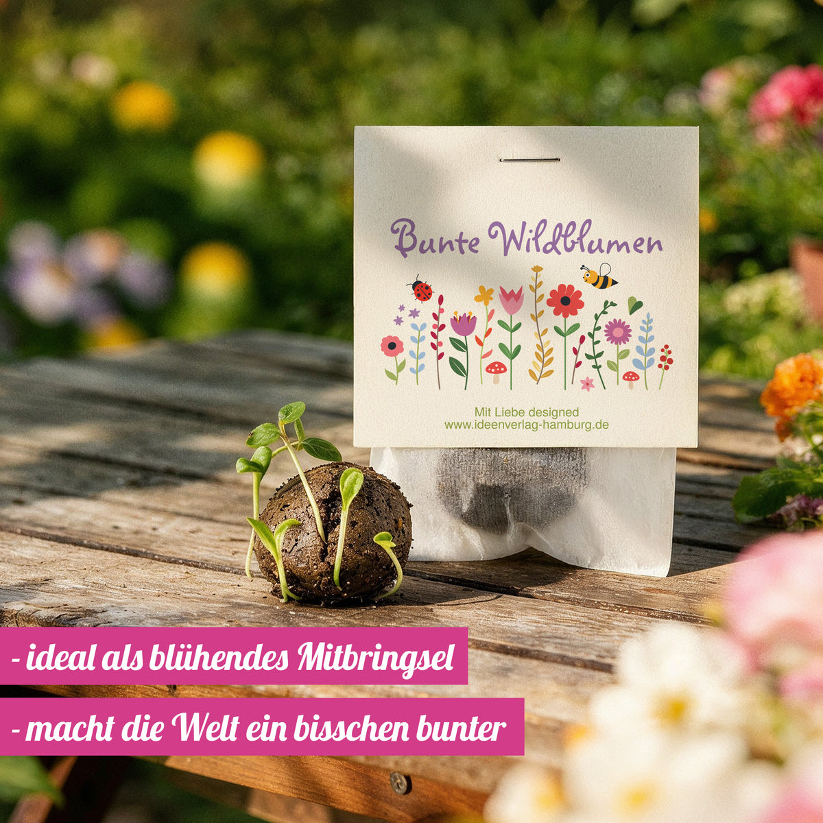 10x "Blumenwiesen" Samenbomben