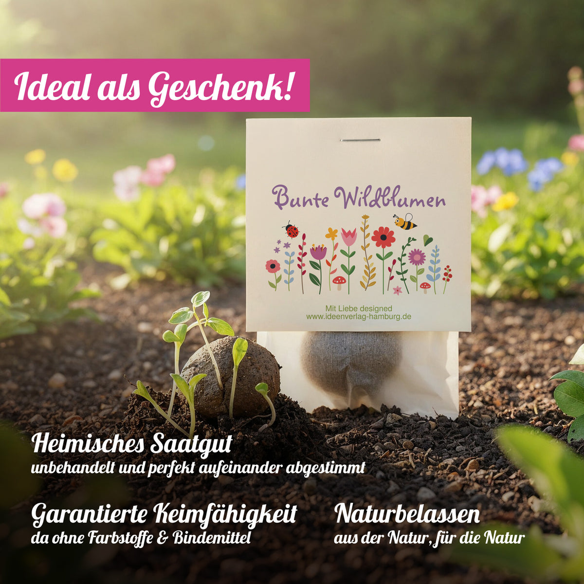 10x "Blumenwiesen" Samenbomben