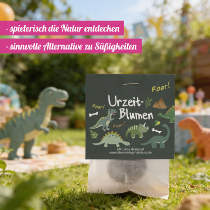 1x "Dinosaurier" Samenbombe