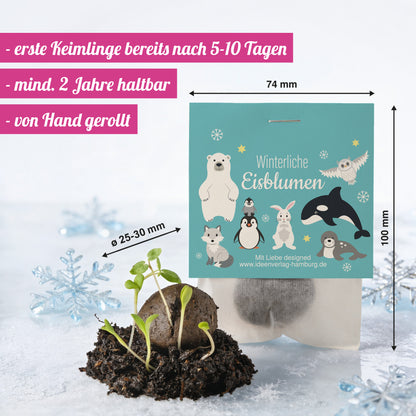 10 "Polartiere" Winter-Samenbomben