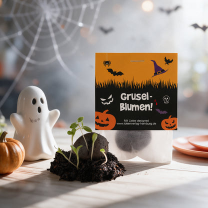 10x "Halloween" Winter-Samenbomben