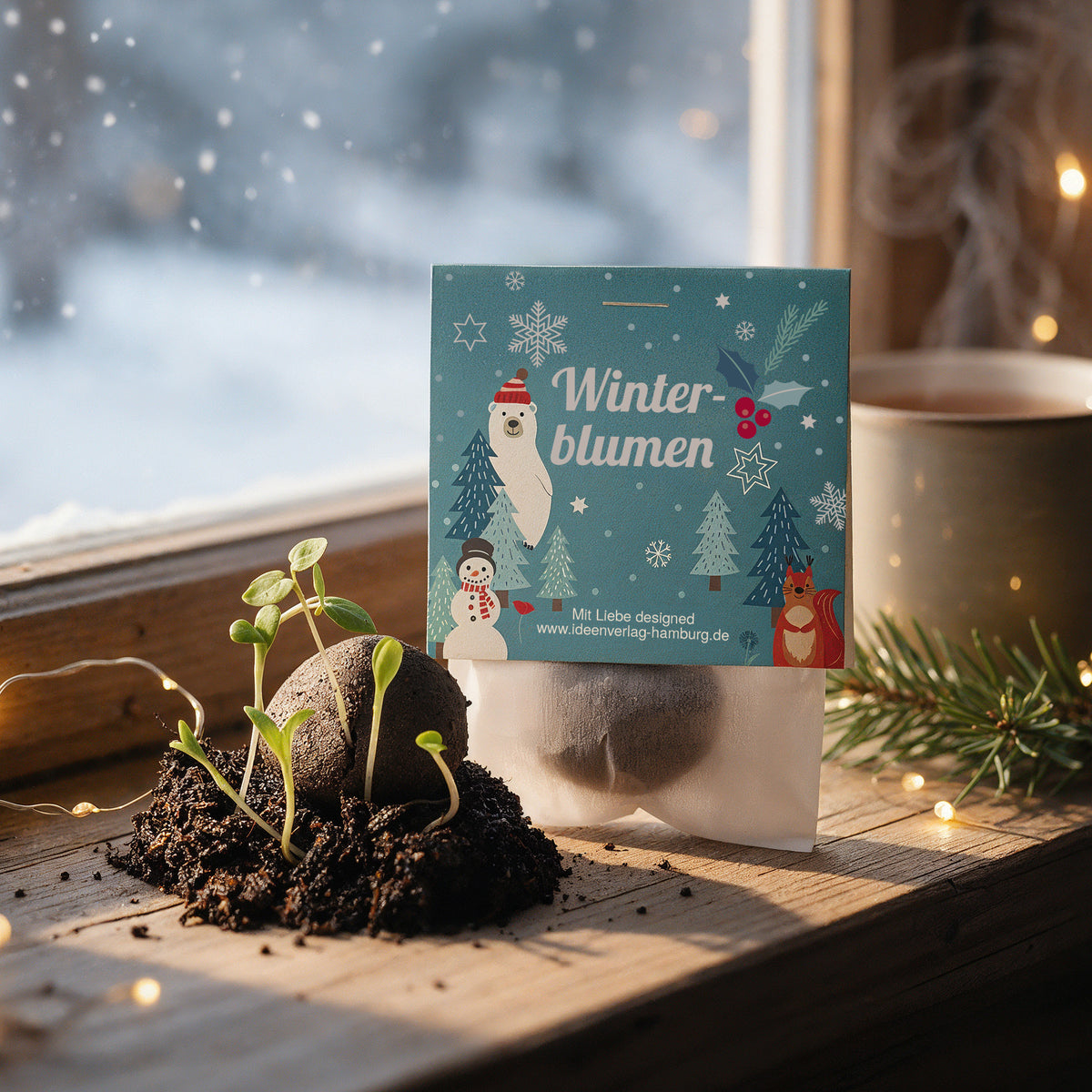 10x "Winterblumen" Winter-Samenbomben