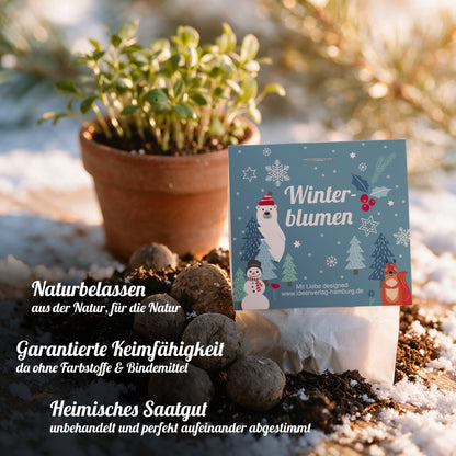 1x "Winterblumen" Winter-Samenbombe