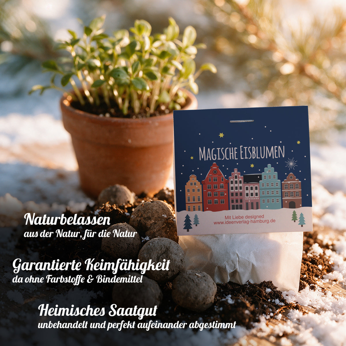 10x "Winterlandschaft" Winter-Samenbomben