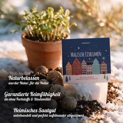 10x "Winterlandschaft" Winter-Samenbomben