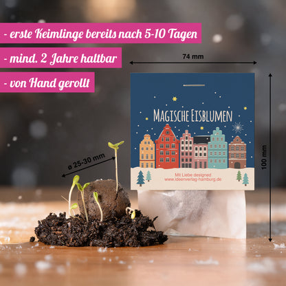 10x "Winterlandschaft" Winter-Samenbomben