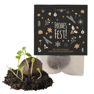 4x "Frohes Fest" Winter-Samenbomben