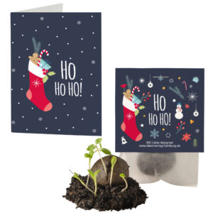 10x "Frohes Fest" Winter-Samenbomben + Geschenkkarten