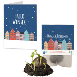 10x "Frohes Fest" Winter-Samenbomben + Geschenkkarten